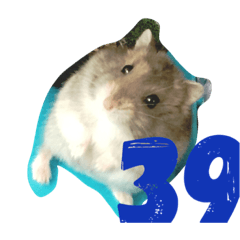 [LINEスタンプ] ハムスターのスタンプ abc