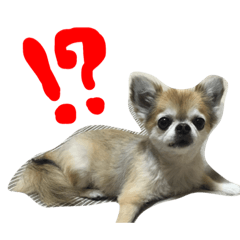 [LINEスタンプ] チロちゃん♡その1