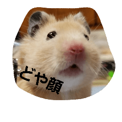 [LINEスタンプ] ハムズ