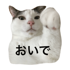 [LINEスタンプ] ニャムシス
