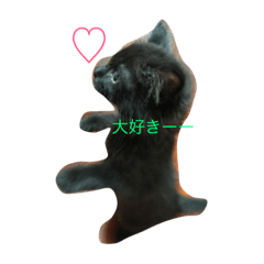 [LINEスタンプ] 黒猫めいのスタンプ