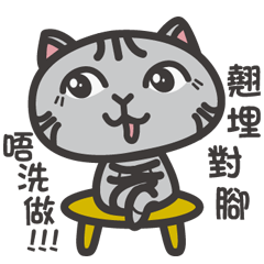 [LINEスタンプ] Gray ＆ Courage Cat 