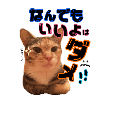 [LINEスタンプ] 土屋家の犬猫2