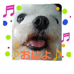 [LINEスタンプ] 佐々木家の姫ちゃん3