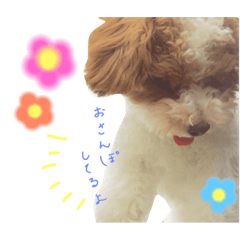 [LINEスタンプ] marulifespecial