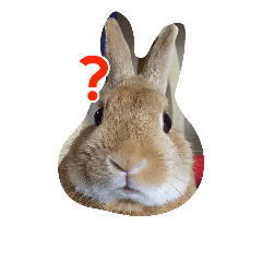 [LINEスタンプ] 生うさぎ