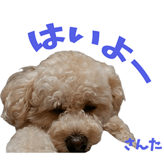 [LINEスタンプ] サンタとハナ