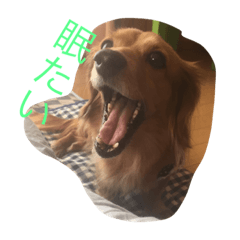 [LINEスタンプ] ㌧㌧