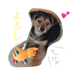 [LINEスタンプ] さむ。