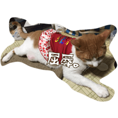 [LINEスタンプ] のリトラじるし vol.2