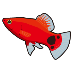 [LINEスタンプ] 熱帯魚