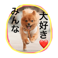 [LINEスタンプ] ルルの友だち♡