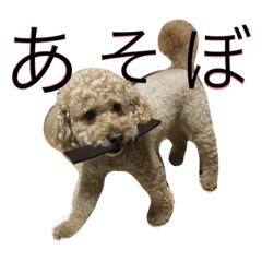 [LINEスタンプ] 小太郎です