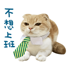 [LINEスタンプ] La-Cha-Hua's cats 2