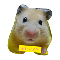 [LINEスタンプ] はむず
