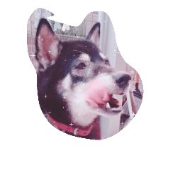 [LINEスタンプ] トークで使える犬スタンプ