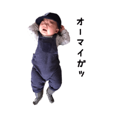 [LINEスタンプ] たいがくん