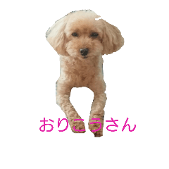 [LINEスタンプ] トイ・プー
