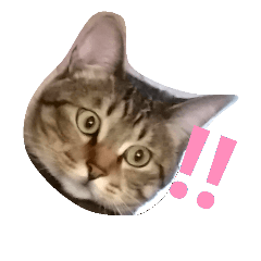 [LINEスタンプ] ねこスタンプ1