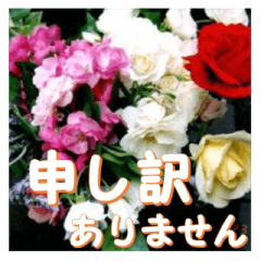 [LINEスタンプ] 薔薇の花♡アソート6_挨拶メッセージの画像（メイン）
