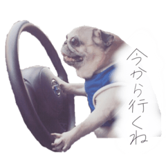 [LINEスタンプ] 小梅