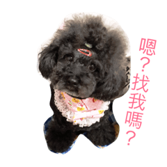 [LINEスタンプ] 咪嚕的日常
