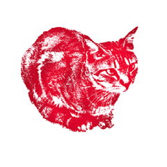 [LINEスタンプ] Colorful cat images