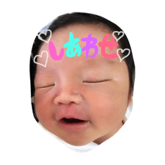 [LINEスタンプ] れいくんスタンプ