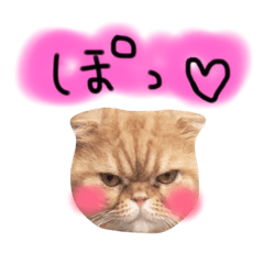 [LINEスタンプ] ゆる猫るーちゃんスタンプ／挨拶＆日常会話 