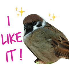 [LINEスタンプ] sparrow stickers 