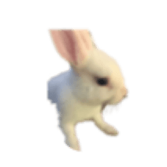 [LINEスタンプ] うさぎのイヴ