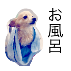 [LINEスタンプ] れもん