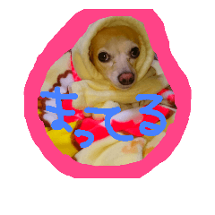 [LINEスタンプ] レオナルドッグ