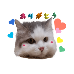 [LINEスタンプ] ばしさんちのチャッピー