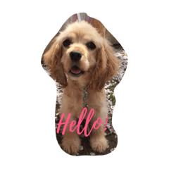 [LINEスタンプ] Lady lady stamp