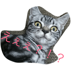 [LINEスタンプ] 船ハウス