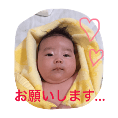 [LINEスタンプ] 我が子スタンプKR