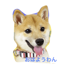 [LINEスタンプ] モカちゃん0206
