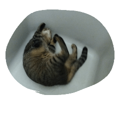 [LINEスタンプ] 荊夏 その3