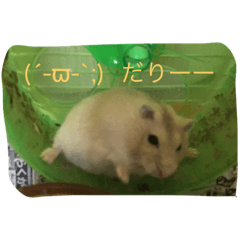 [LINEスタンプ] ハム☆