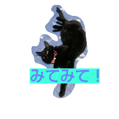 [LINEスタンプ] サン ジジ ユキ