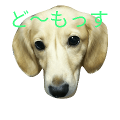 [LINEスタンプ] じいくの助