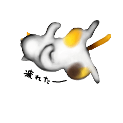 [LINEスタンプ] 家ねこ
