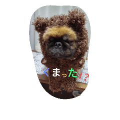 [LINEスタンプ] だらだらペキニーズ 大福＆あげぱん