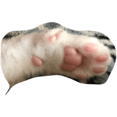 [LINEスタンプ] 吾輩はねこである