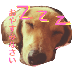 [LINEスタンプ] くるみスタンプ