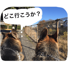 [LINEスタンプ] ラディックとジェフ