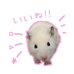 [LINEスタンプ] スチュ＆きみ ハムハム's