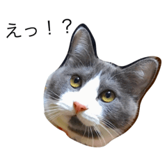 [LINEスタンプ] ハイハチはっち