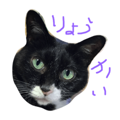 [LINEスタンプ] ぺちゃん1
